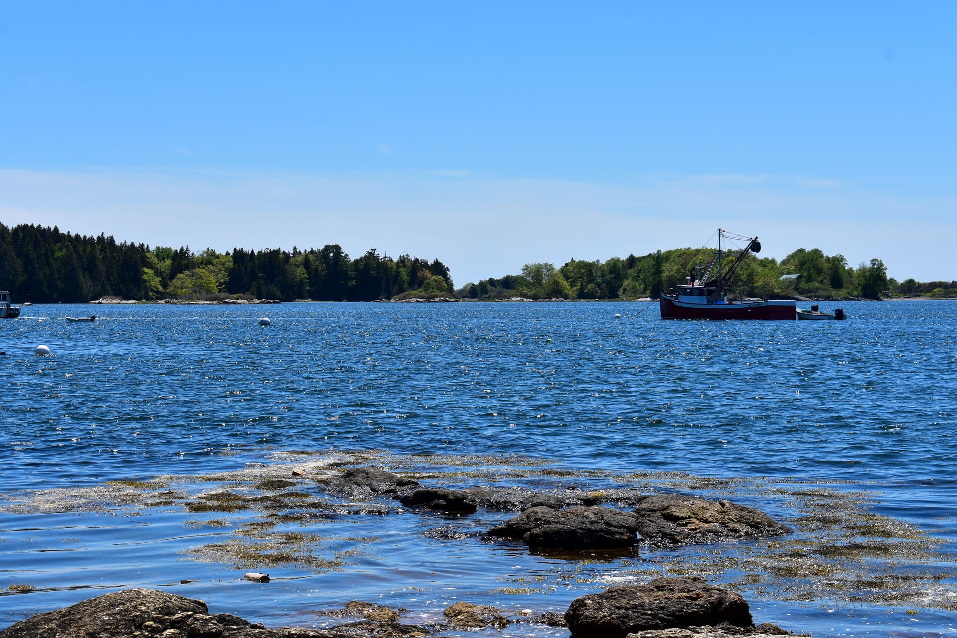 A Warming Gulf of Maine Explained Quahog Bay Conservancy