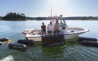 Sustainable Aquaculture: Green Innovation & Industry