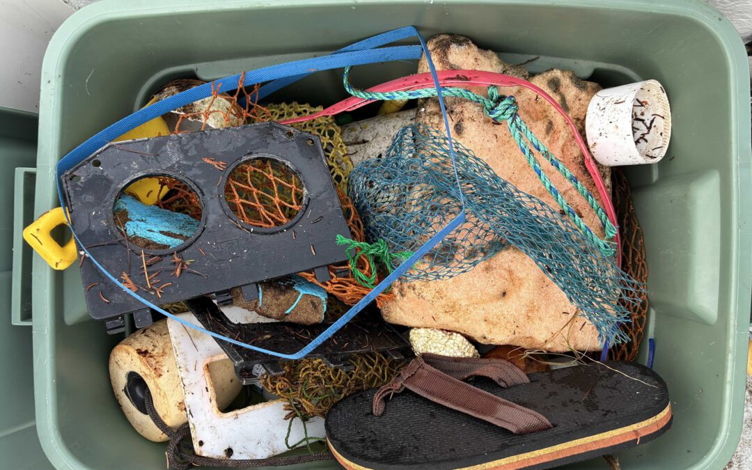 A Ton of Trash in a Single Day!