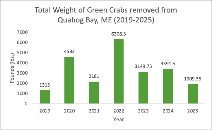 Total weight of green crabs removed from Quahog Bay, ME 2019-2025