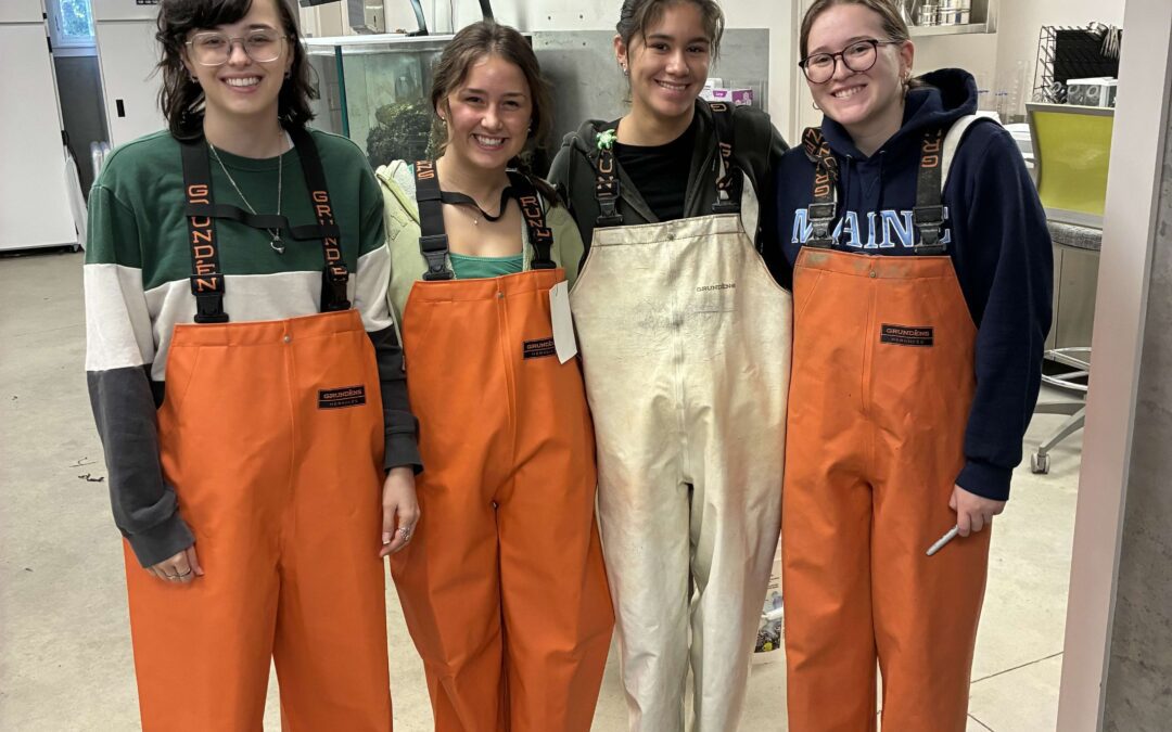 Meet Our Summer Interns!